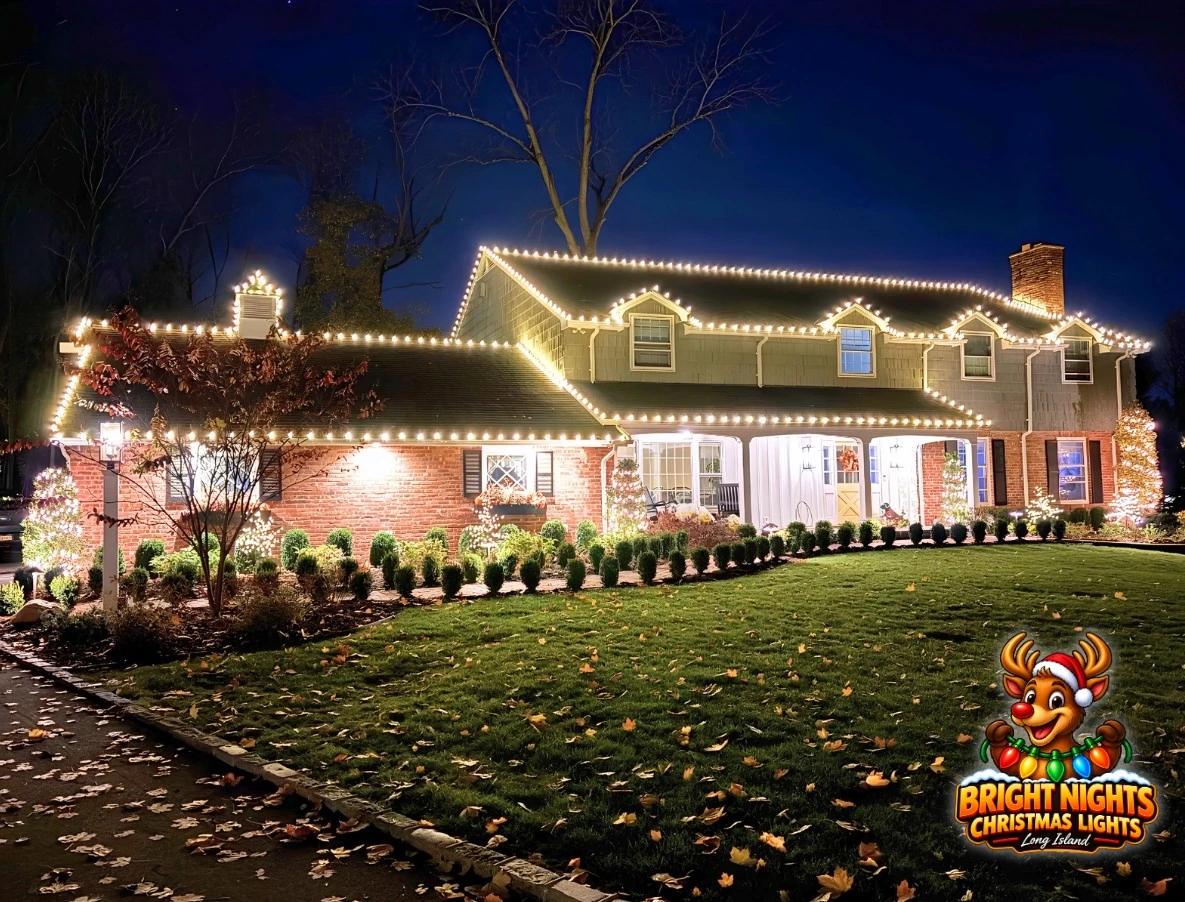 Christmas roof and landscape lighting